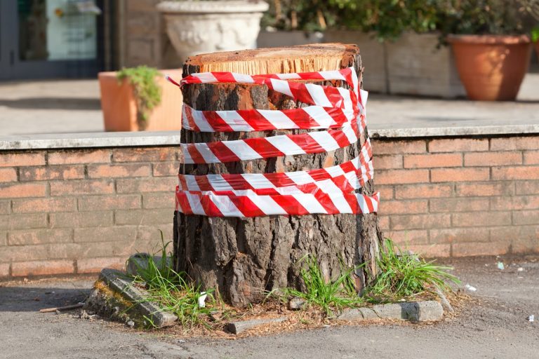 Tree stump with caution tape, demonstrating the importance of commercial tree service for safe and professional tree removal.