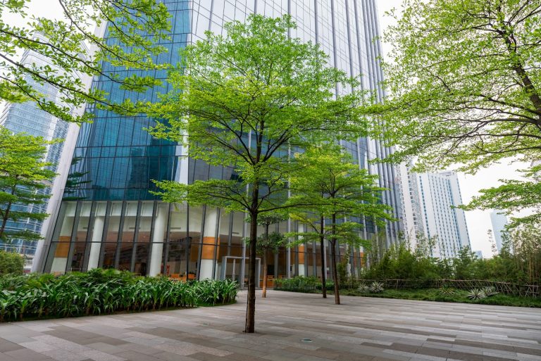 A well-maintained tree-lined business entrance showcasing the benefits of commercial tree service.