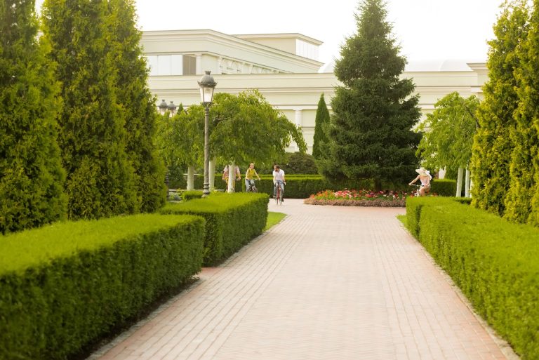 Healthy trees and green landscaping that increase business property value, maintained by a commercial tree service.